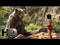 The Jungle Book (2016) - Mowgli Use Trick And Break honey For Baloo | Hollywood MovieClips In Hindi