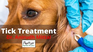 Flea and Tick treatment for dogs - By Dr. Anirudh Mittal | 100% Results | @Pupkitt Pet Care