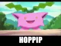 All pokeraps