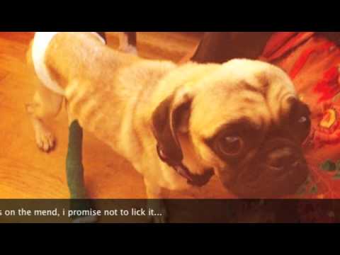 Otys UPDATE- Calling All Angels