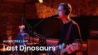 Watch Last Dinosaurs Stream video