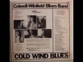 Colwell-Winfield Blues Band - Whole Lot Of Lovin