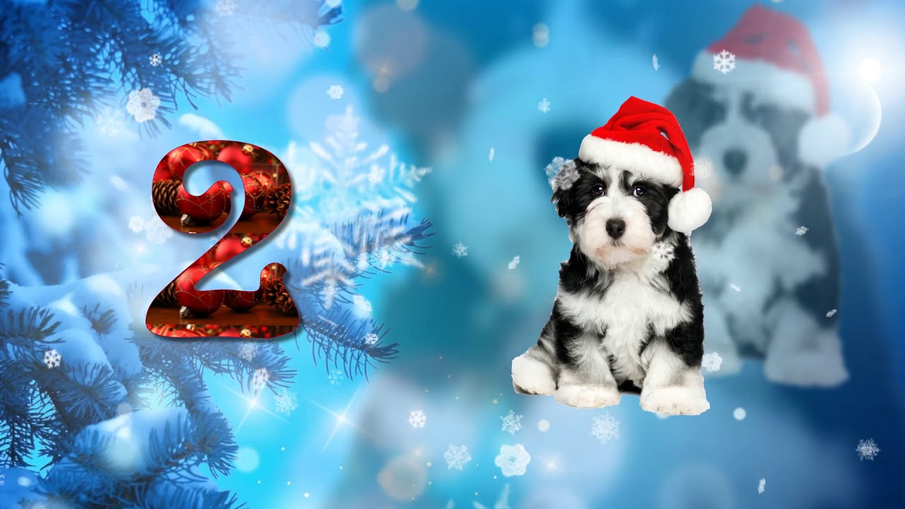 Кино с новым годом 2018 Кино с новым годом 2018