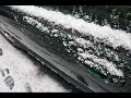 NY 1st Snow of the Year 11/8/10 (Kodak C143)