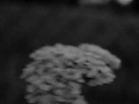 Avalanche by Leonard Cohen (video)
