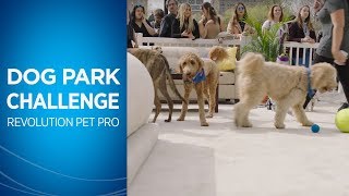 BISSELL Commercial: Dog Park Challenge Long