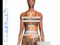 google body browser