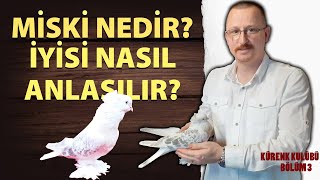 Miski Nedir? İyisi Nasıl Anlaşılır? Erdinç Metin Müdür Anlatıyor!