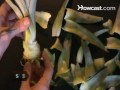 How To Grow Your Own Pineapple At Home