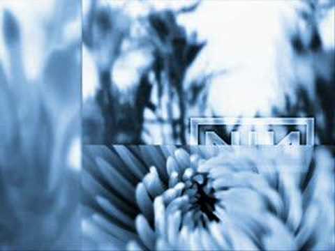 Nine Inch Nails - The Fragile