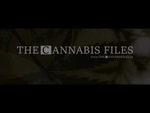 The Cannabis Files #002 feat Wendy Love Edge
