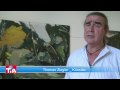 Thomas Ziegler - Landschaftliches