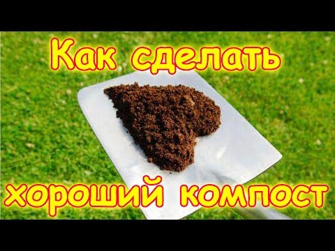 Женская одежда AliExpress Отзывы покупателей Военная политика и проблемы обеспечения военной безопасности
