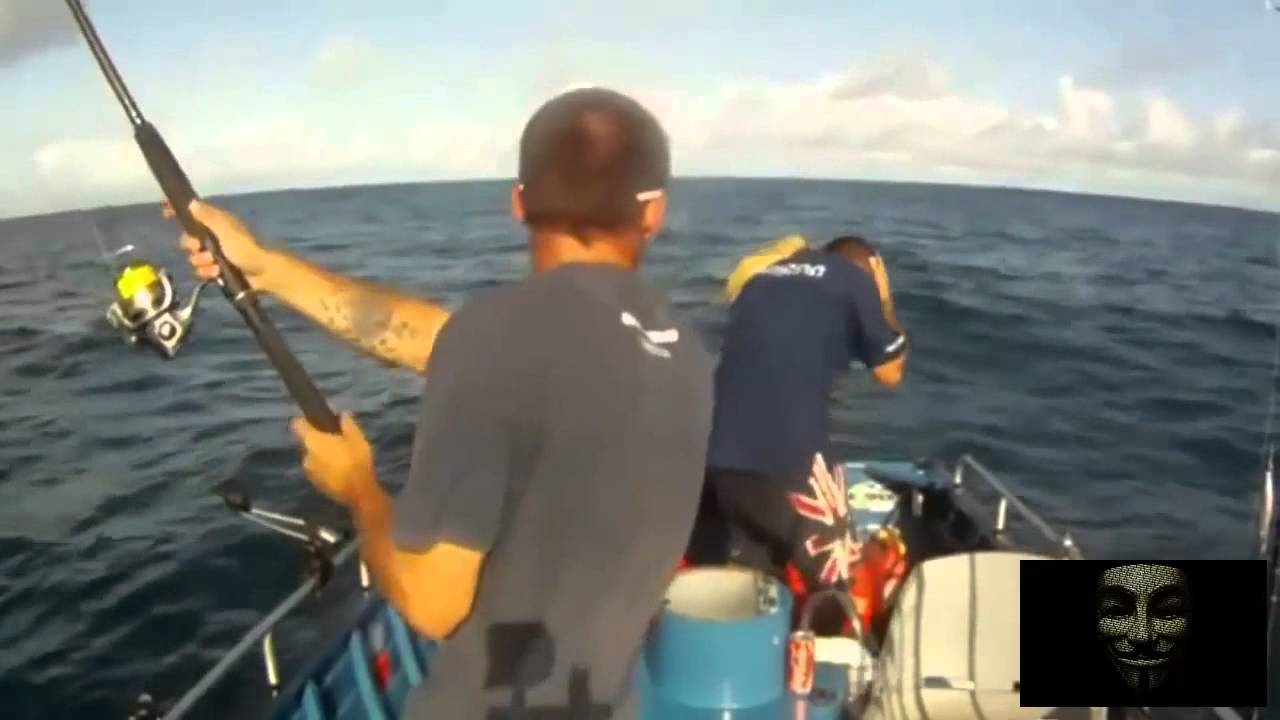 ловля видео приколы ловля видео приколы