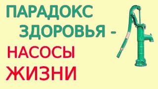 Секрет 1 - Пешком К Здоровью. Целебная Ходьба - Здоровое Сердце, Все Органы И Всё Тело. Часть 1