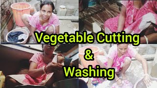 Vegetable Cutting And Washing Vlog Desi Style