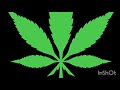 Snoop Dogg - Smoke weed everyday Q bootleg
