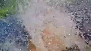 Aquafans - Vista Dallalto