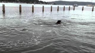 3D printed RC jet boat test 1 on 2S with traxxas blushless motor
