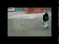 I Smart images I Smart
