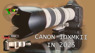 Canon 1Dxmkii In 2025