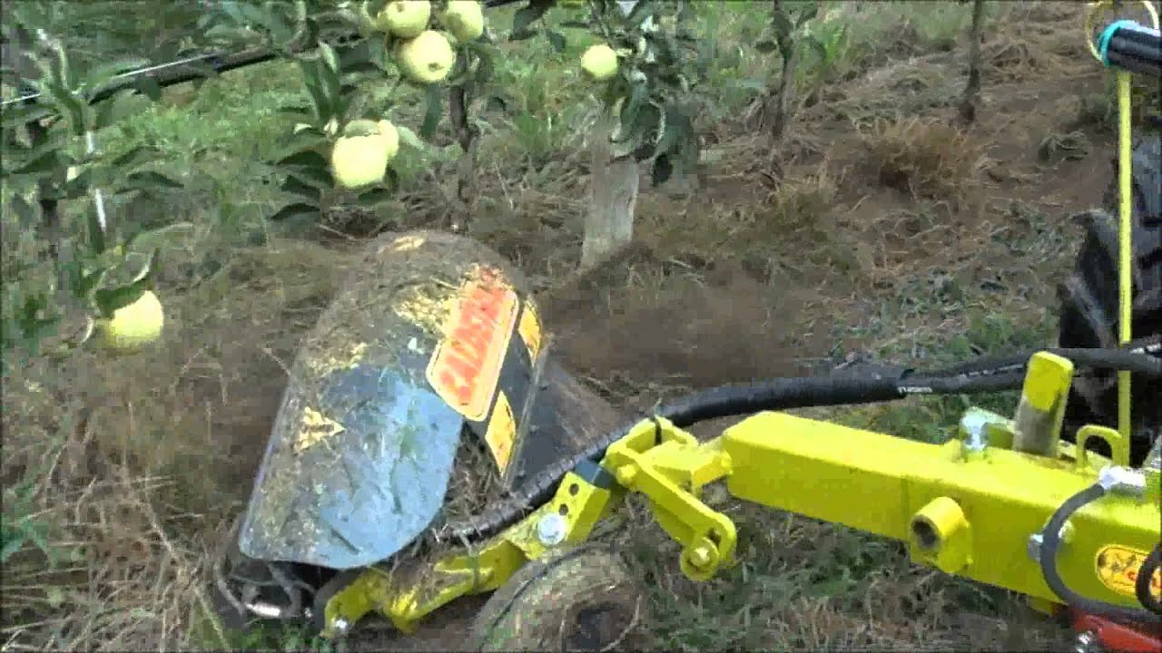 1 RAMPETTA CALDERONI ECOLOGY SYSTEM E MINITRINCIA fruits byologic ...