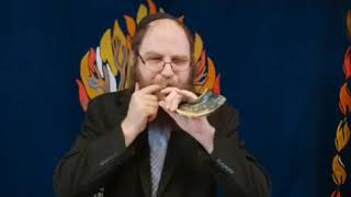 Shabbat Sermon 21.8.20 Shoftim
