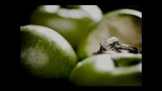 Watch Chantal Kreviazuk Green Apples video