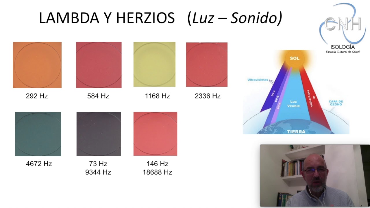 Todos los videos