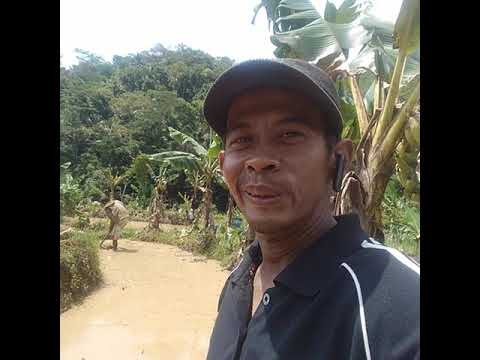 #pesonapedesaan #pesona purworejo