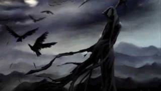 bJQn45FQk8M Video Image