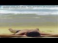 larely into the diet The articles of food best adated to th.mov