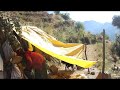 Cooking karelaa which is available in village ll Primitive technology