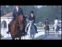 Arabian Stallion Selket Louchiano Movie