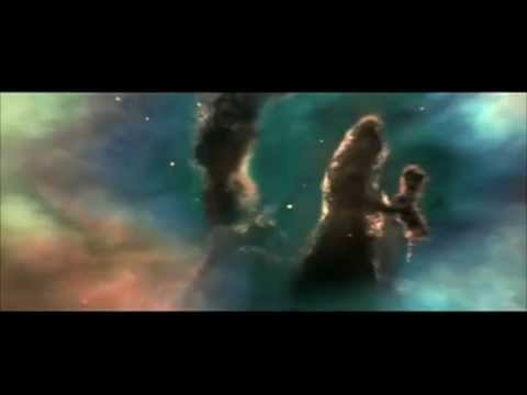 Self Video