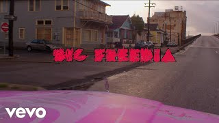 Big Freedia Ft. Mannie Fresh - Dive