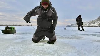 Так Делают Только Браконьеры! Рыбалка На Вибы На Реке Дон