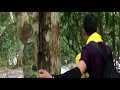 Watching video Khi Phượt Thủ Gặp Nạn/Tai Nạn Thảm Khốc - Phượt Chứ Không Hành Xác