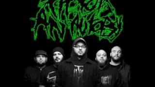 Watch Fit For An Autopsy Wrath video