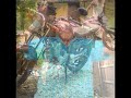 Bokep images Bokep