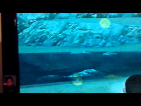 Gta 4 abandoned casino ghost