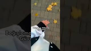 Whatsapp Ucun Sevgiyə Aid Maraqlı Statuslar Sounds App Mahnı Status Ucun Video Qısa