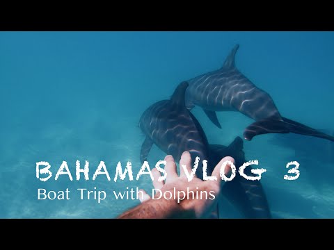 Vlogs