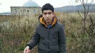Ağac Şirələnməsi Ilə Mübarizə.
