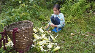 Orphan Girl Goes To The Forest Harvest Bamboo Shoots To Sell - Homeless Life, Free Bushcraft
