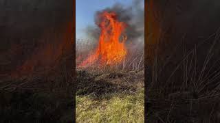 Veld Fires Are Dangerous Luckily We Back Burned In Time