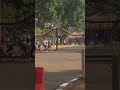 Paspampres hajar penerobos bugil istana