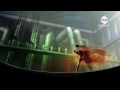 Stan Lee S Mighty 7 Premieres Feb 1 Promo Hub ...
