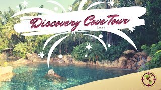 Discovery Cove Tour~Birthday Trip ~