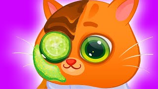 Котик Бубу Обновление Салон Красоты Ухаживаем За Питомцем